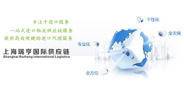上海全套代理紙尿褲進口通關(guān)及國內(nèi)貿(mào)易代理服務(wù)指南