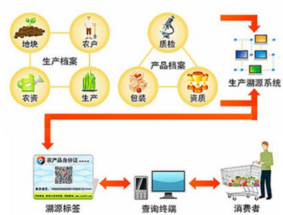 種子溯源系統(tǒng)的流程與技術(shù)咨詢服務(wù)要點(diǎn)解析